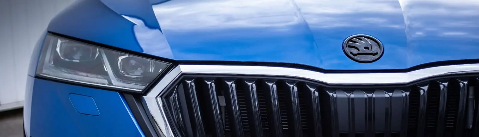 Официальный сервис Skoda в Пензе